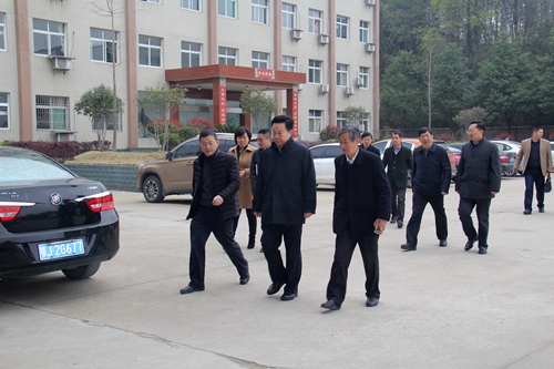1、省委組織部部長(zhǎng)劉雪榮、縣委書(shū)記黃強(qiáng)胤、組織部長(zhǎng)涂杏華等領(lǐng)導(dǎo)來(lái)公司檢查黨建工作.jpg